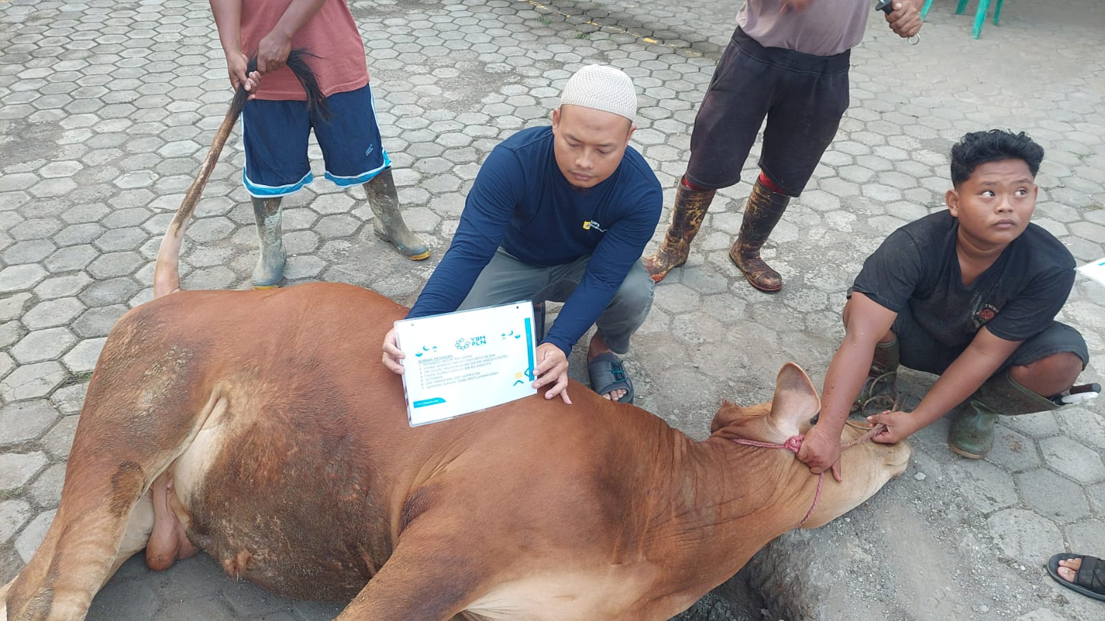 Jelang Hari Anak Nasional, PLN Indramayu Tebar Berkah 548 Paket Daging Qurban Idul Adha 1445 H