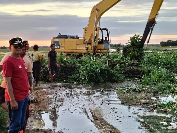 Dinas PUPR Kabupaten Indramayu Bersihkan Eceng Gondok Di Saluran Pembuangan Kali Maja Kecamatan Arahan