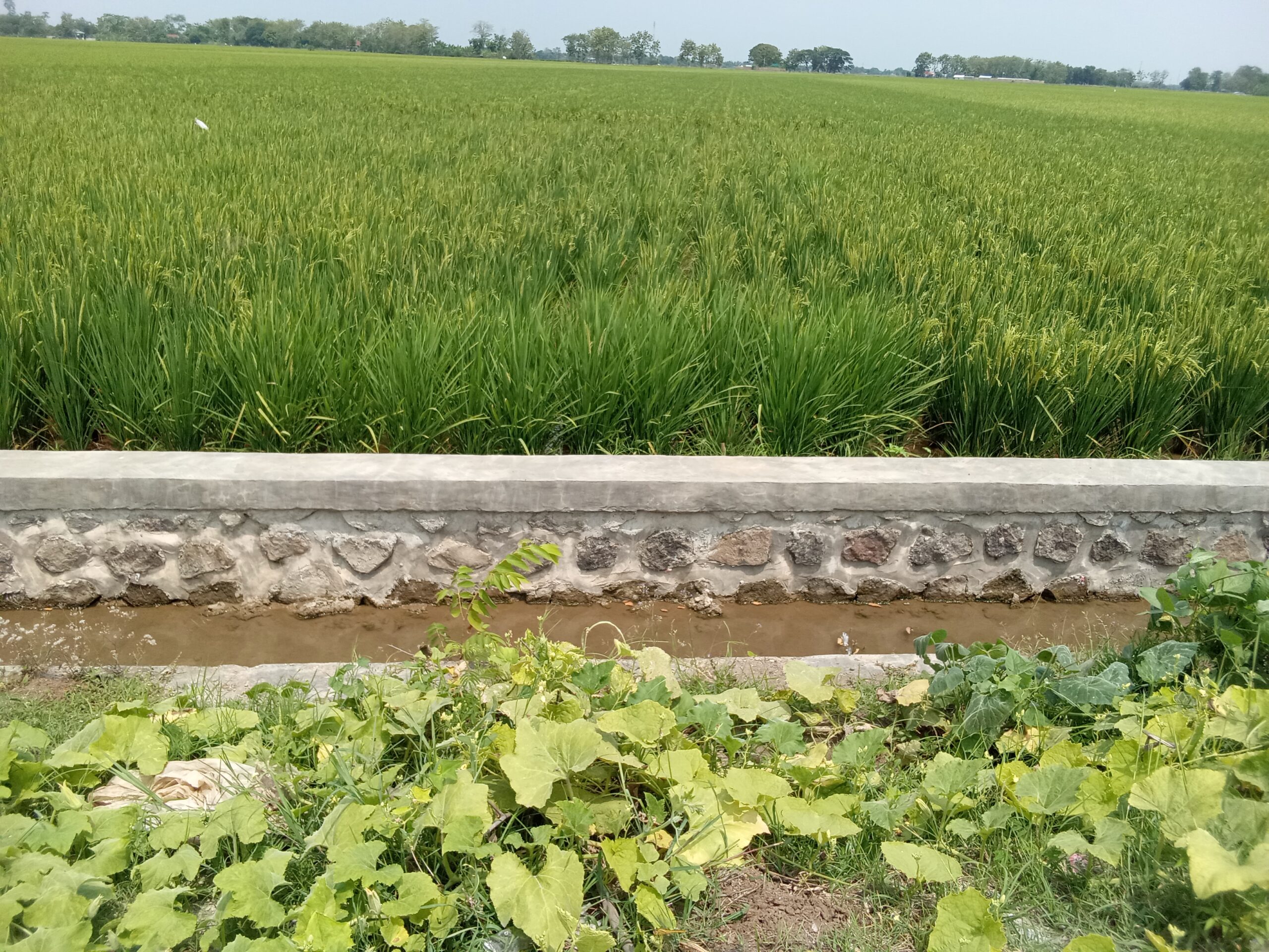 IMG_20250916_123501_570