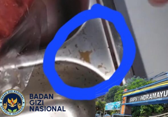 IMG-20260428-WA0031(1)