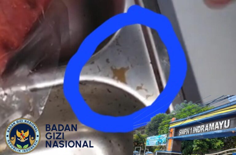 IMG-20260428-WA0031(1)